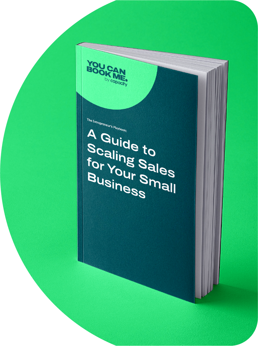 eBook CTA - The Entrepreneurs Playbook A Guide to Scaling Sales for Your Small Business (1)